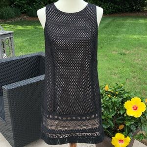 Ann Taylor Black Dress with Tan Lining